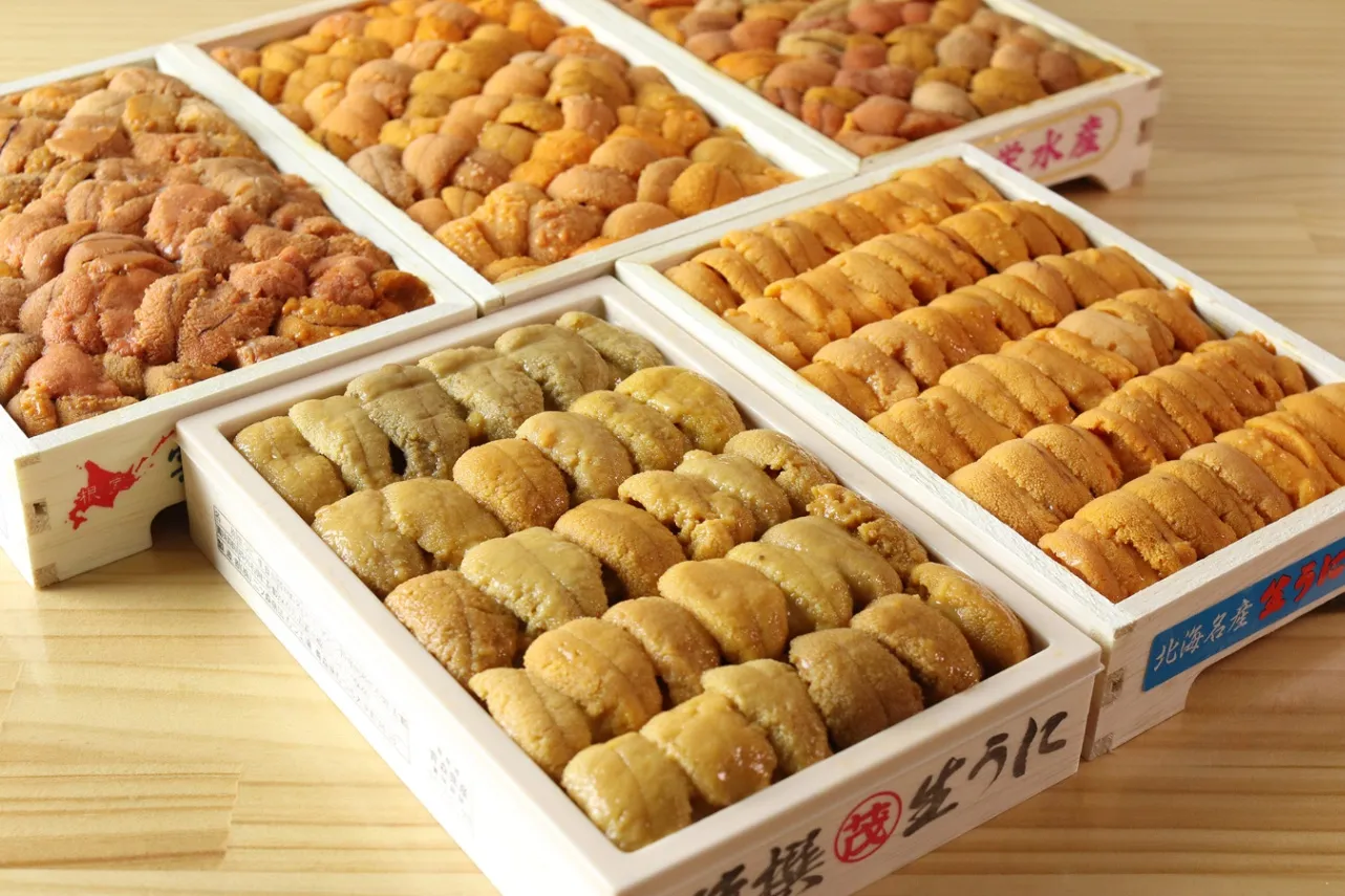 厳選した旬の“ウニ”を提供する専門店「うに虎中通り 庵」築地場外にオープン！_1905890