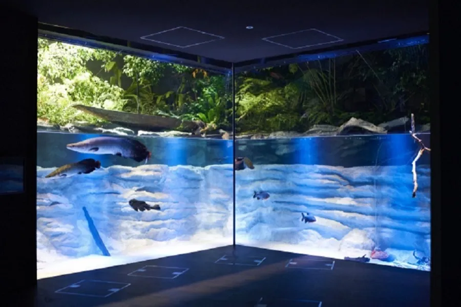 川崎初の水族館、銭湯カフェなど！これから行くべき注目の新スポット5選【2020年7月版】
