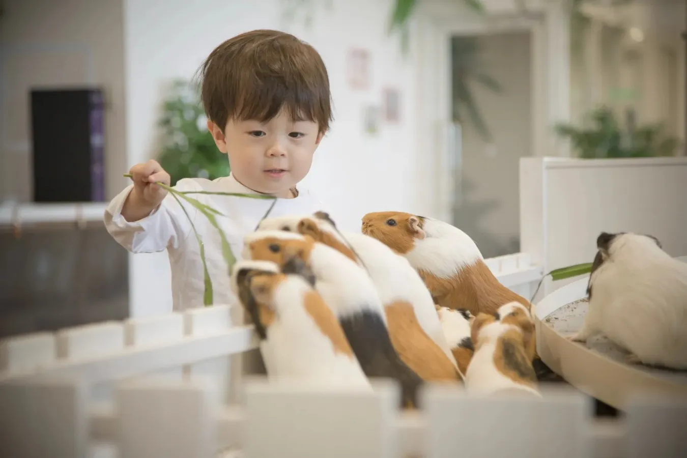 みなとみらい「子どもの遊び場」5選！子連れおでかけスポットを紹介_3456771