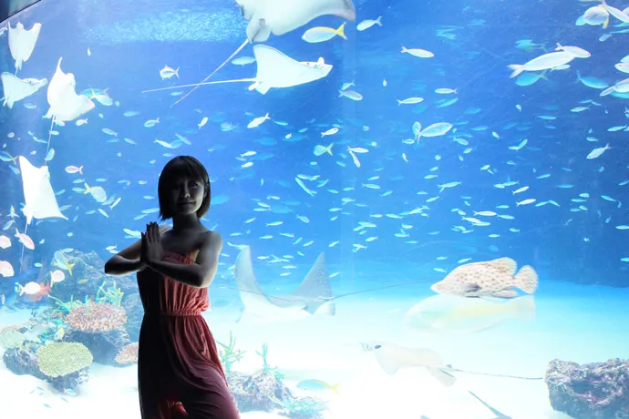 （PR）水族館でヨガ体験！？非日常空間で癒し効果バツグンのアクアリウムヨガをレポート＠サンシャインシティ