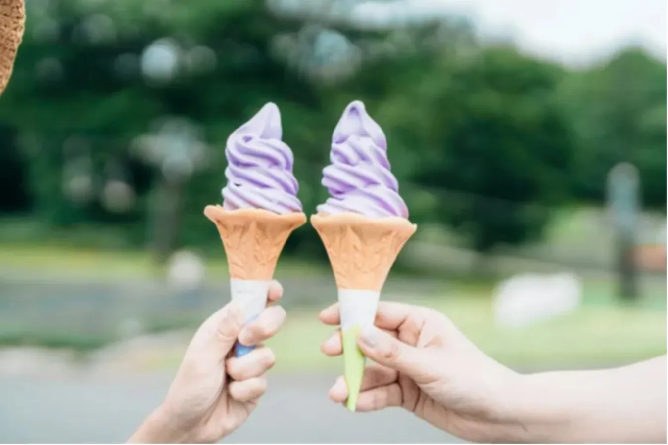 ▲ラベンダーソフトクリーム