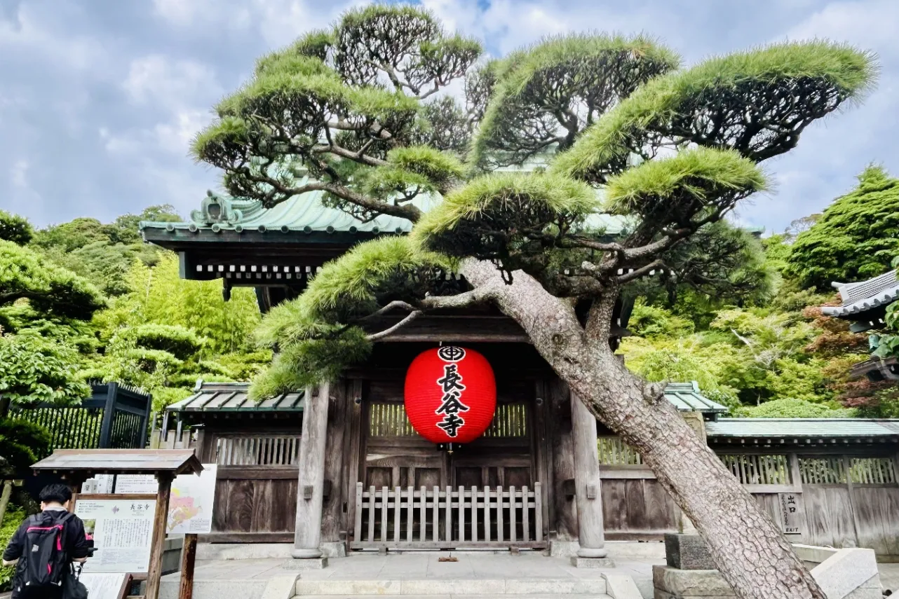 ▲「鎌倉長谷寺」山門（※撮影：レッツエンジョイ東京編集部）