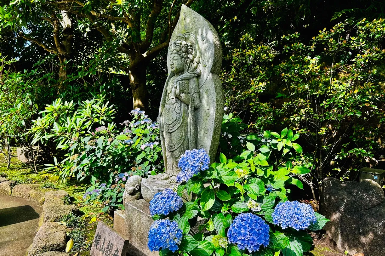 ▲「梶山観音」とあじさい(※撮影:レッツエンジョイ東京編集部)