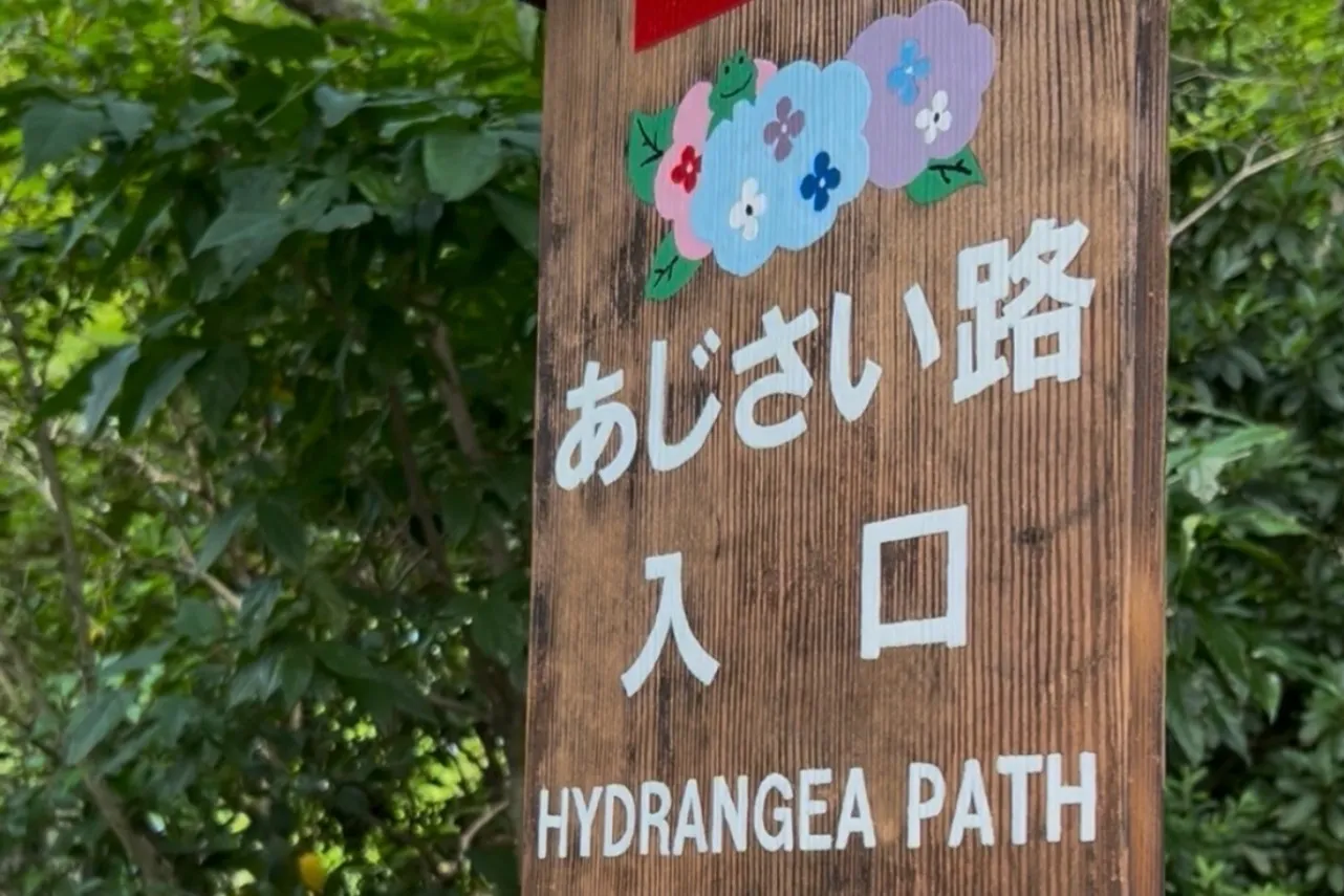 ▲あじさい路への入口（※撮影：レッツエンジョイ東京編集部）