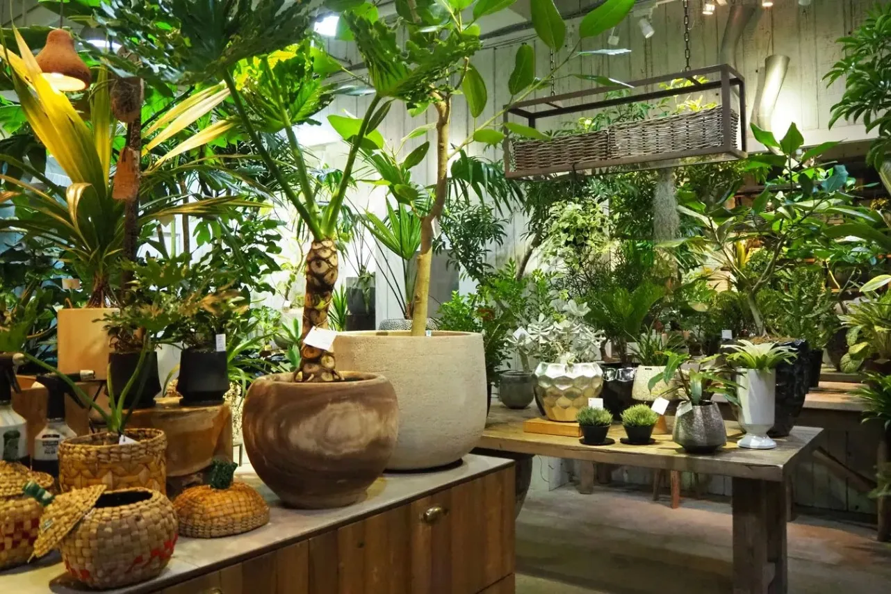 休日は外苑前で一人散歩!こだわりカフェやショップを巡る「半日コース」_1705561