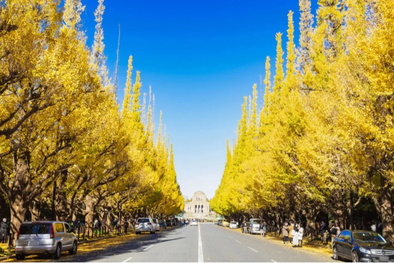 休日は外苑前で一人散歩!こだわりカフェやショップを巡る「半日コース」_1705572