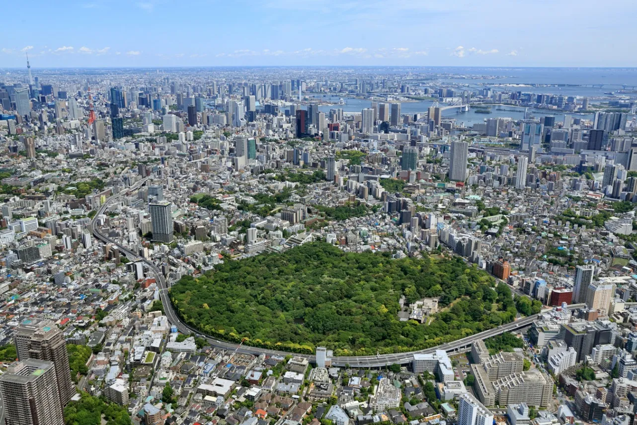 ▲写真提供：国立科学博物館附属自然教育園