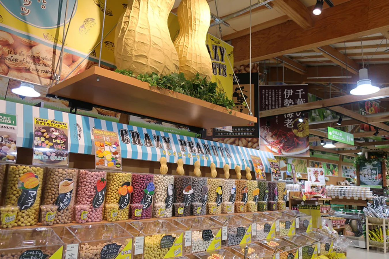 ▲「クレイジーピーナッツ」