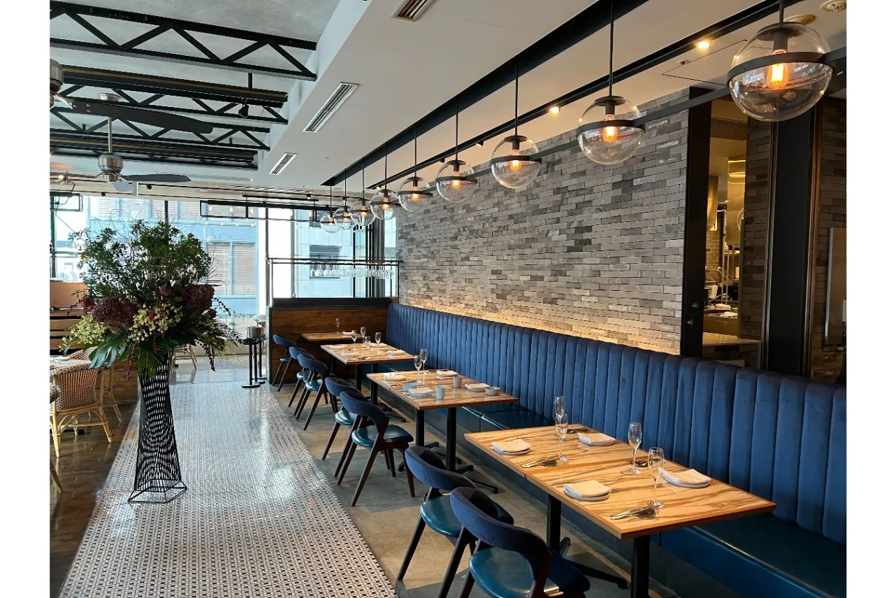 にこうる堂 Z/X Code reunion 2 特製パック同梱版 ジャンプコミックス : 藤真拓哉