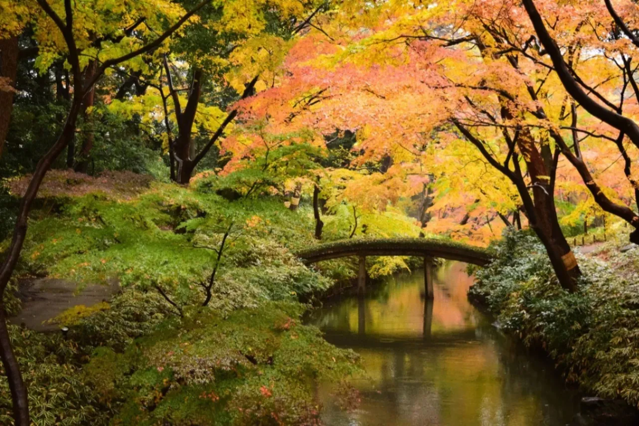 【2025年版】関東の紅葉スポット10選！東京から日帰りで行ける名所_3127659