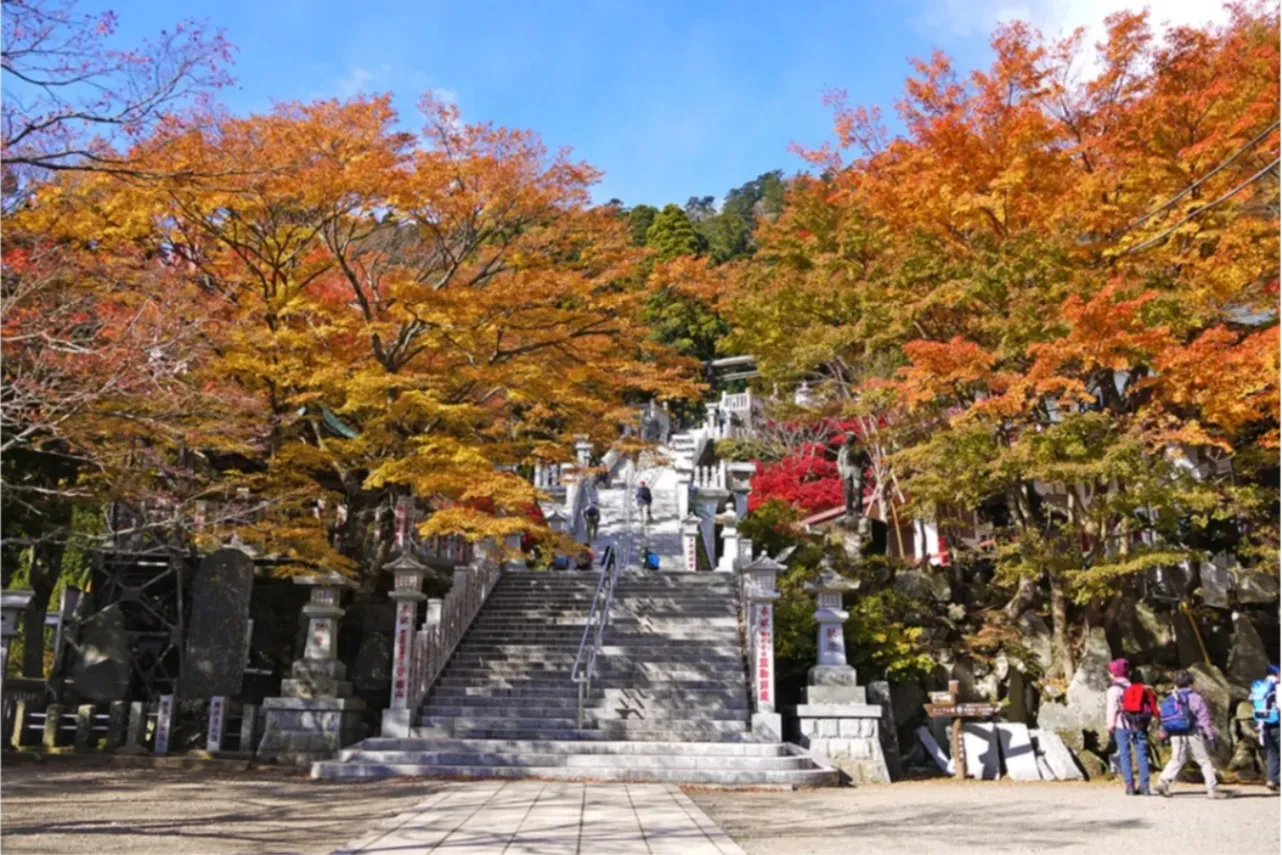 ▲大山阿夫利神社下社の紅葉