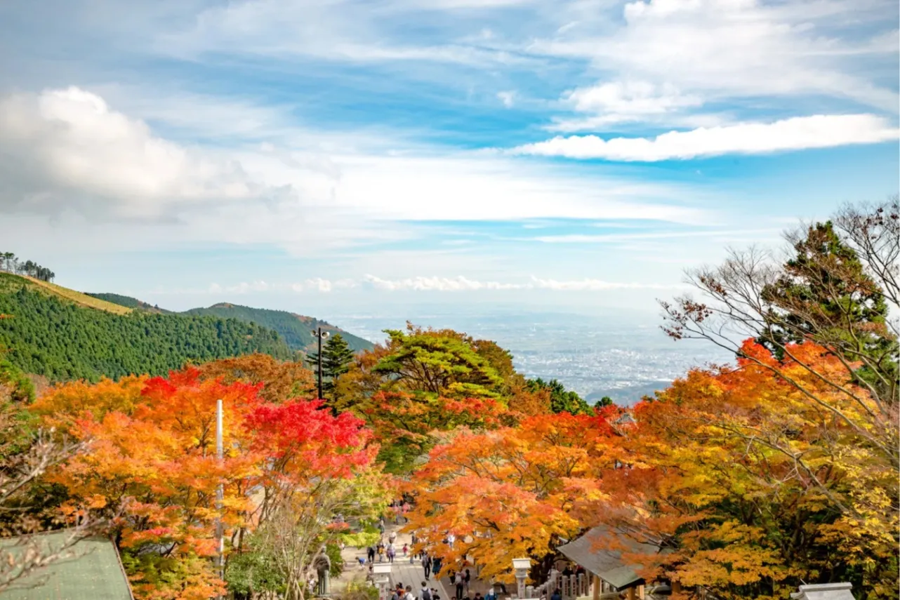 ▲大山阿夫利神社下社の紅葉