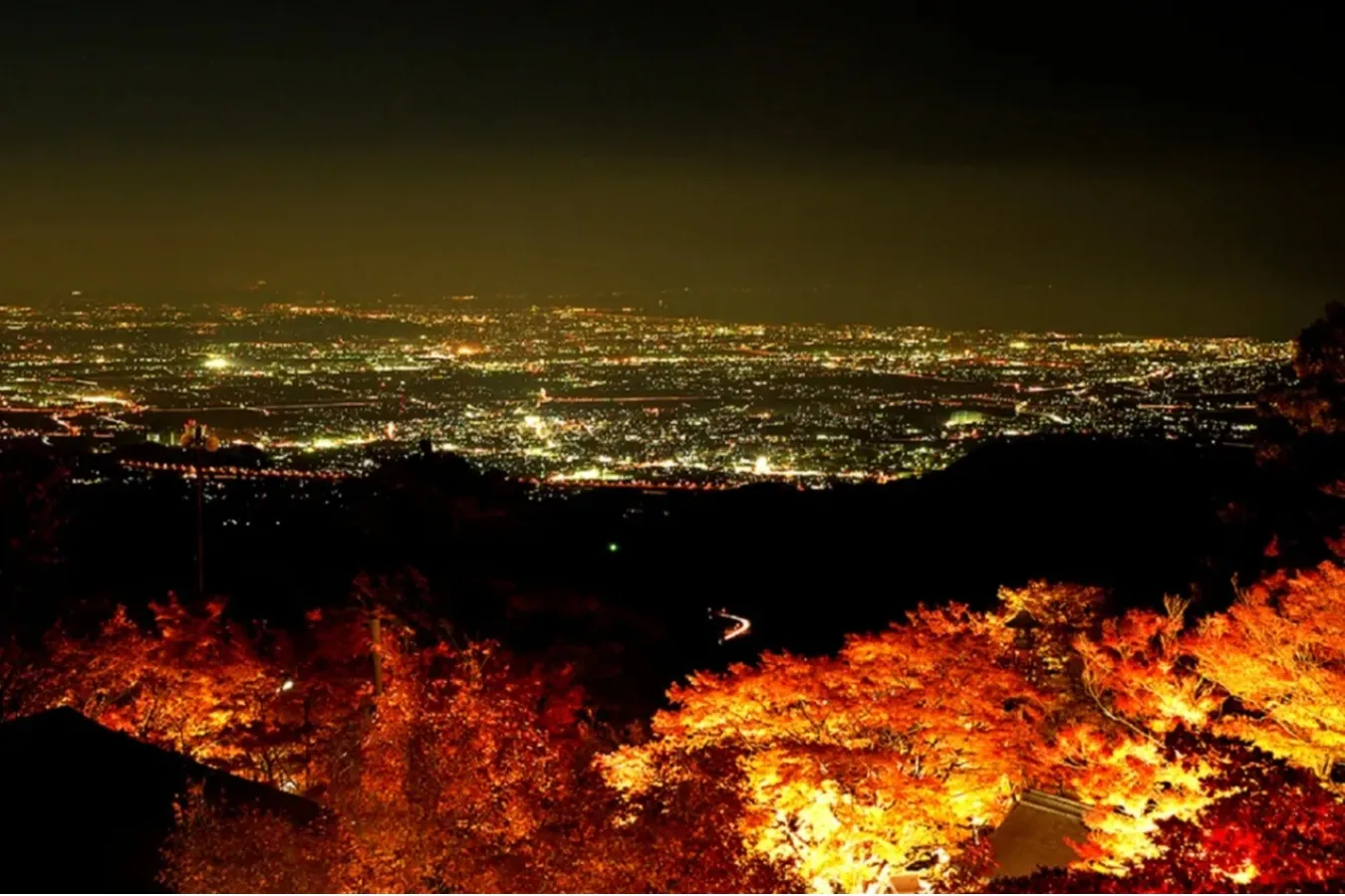 ▲大山阿夫利神社下社の紅葉ライトアップ