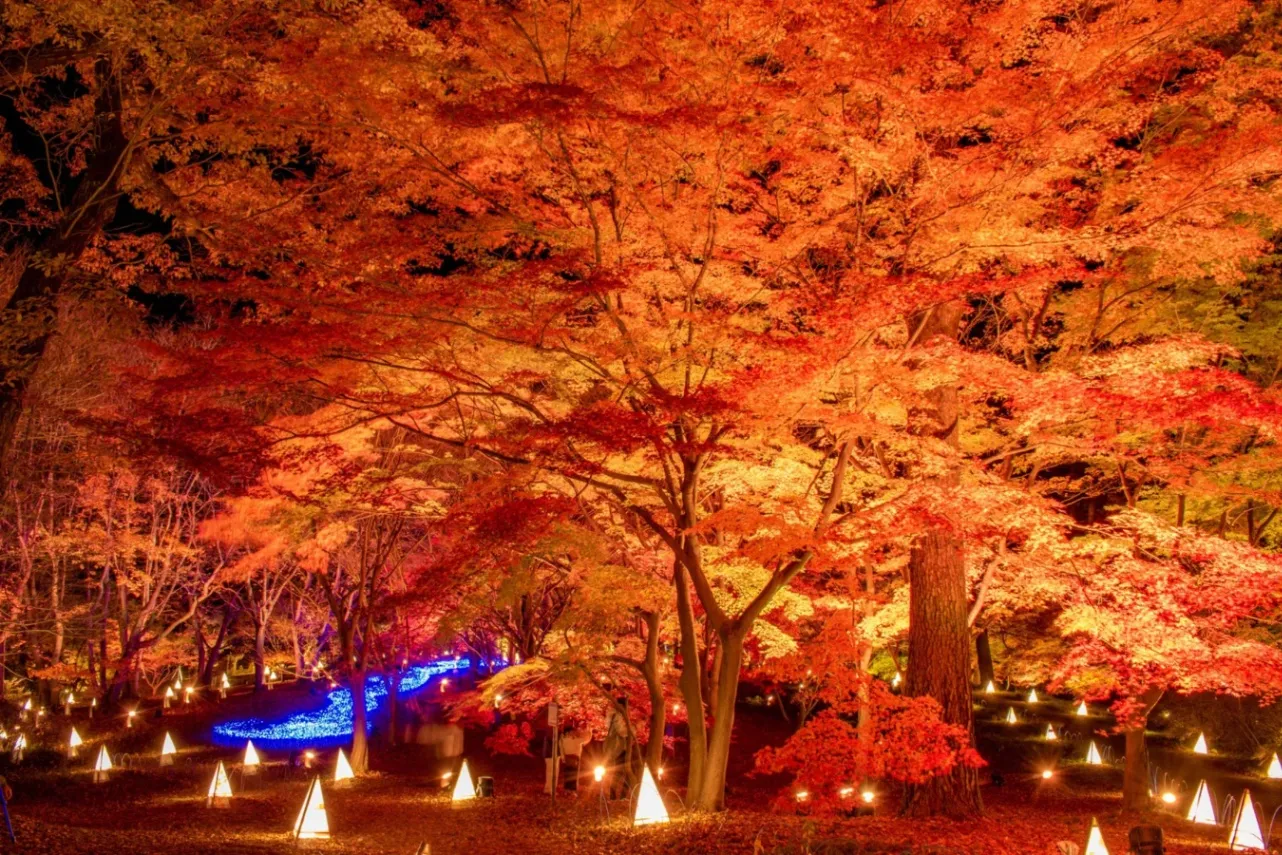 【2025年版】関東の紅葉スポット10選！東京から日帰りで行ける名所_3127670
