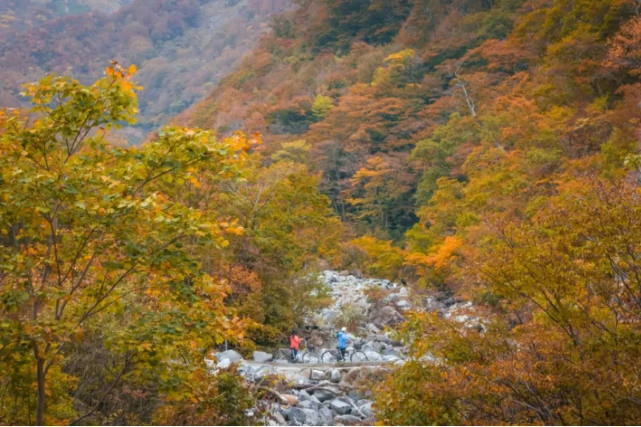 【2026】関東の紅葉・黄葉スポット15選！東京から日帰りで行ける名所_4121567