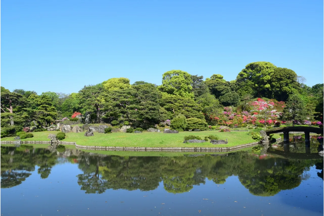 見ごろはいつ？デートで行きたい東京「つつじ」名所6選【2025】_2865688