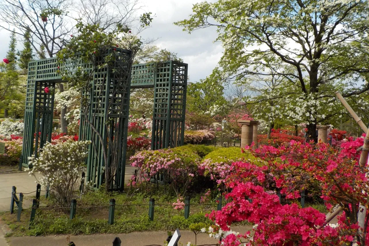 見ごろはいつ？デートで行きたい東京「つつじ」名所6選【2025】_2865695