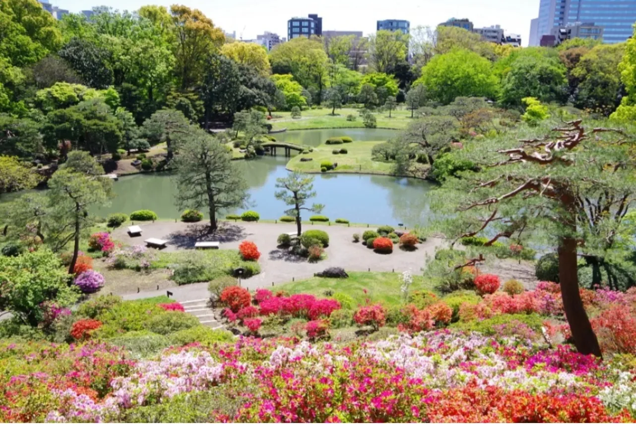 ▲画像提供：六義園