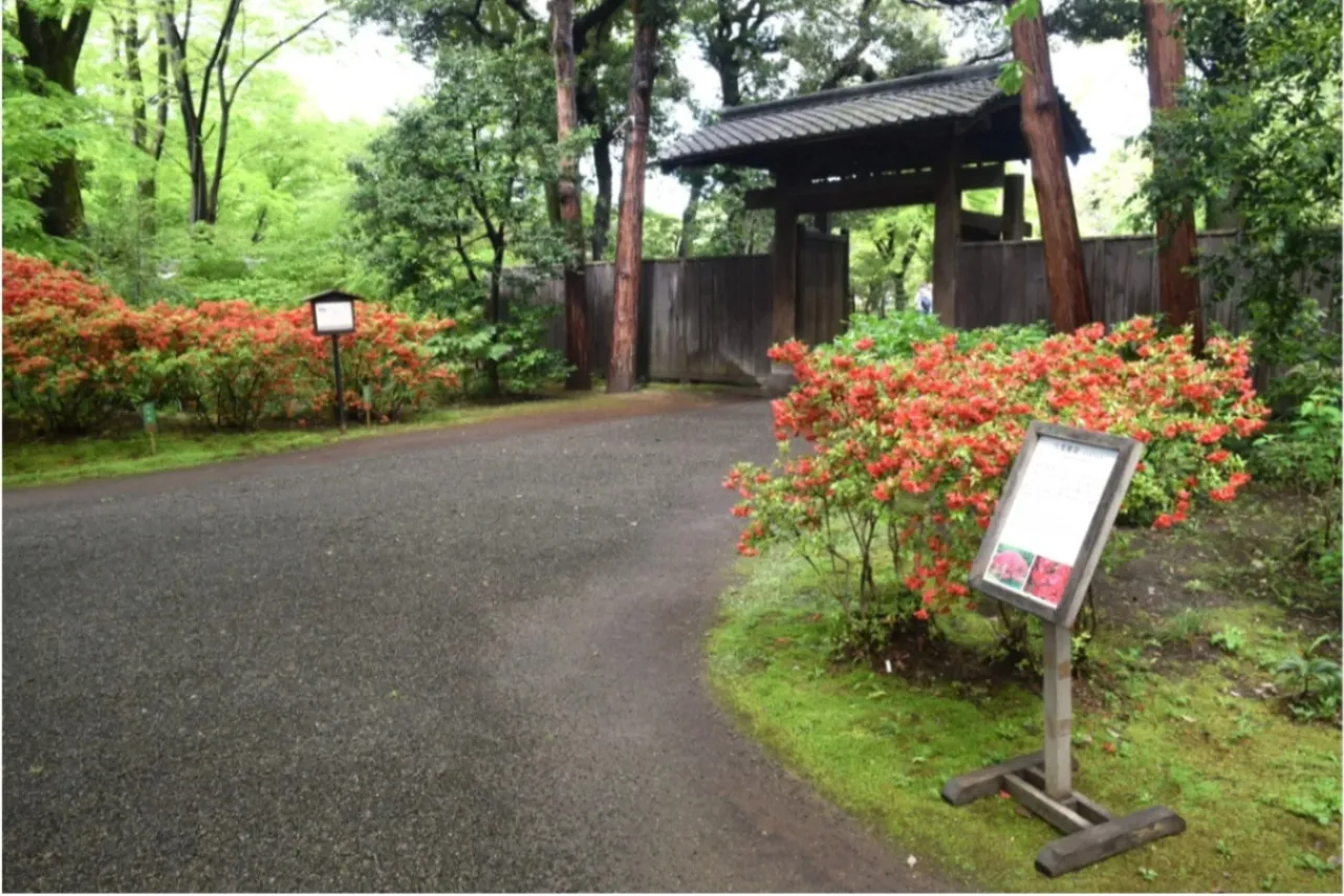 ▲画像提供：六義園