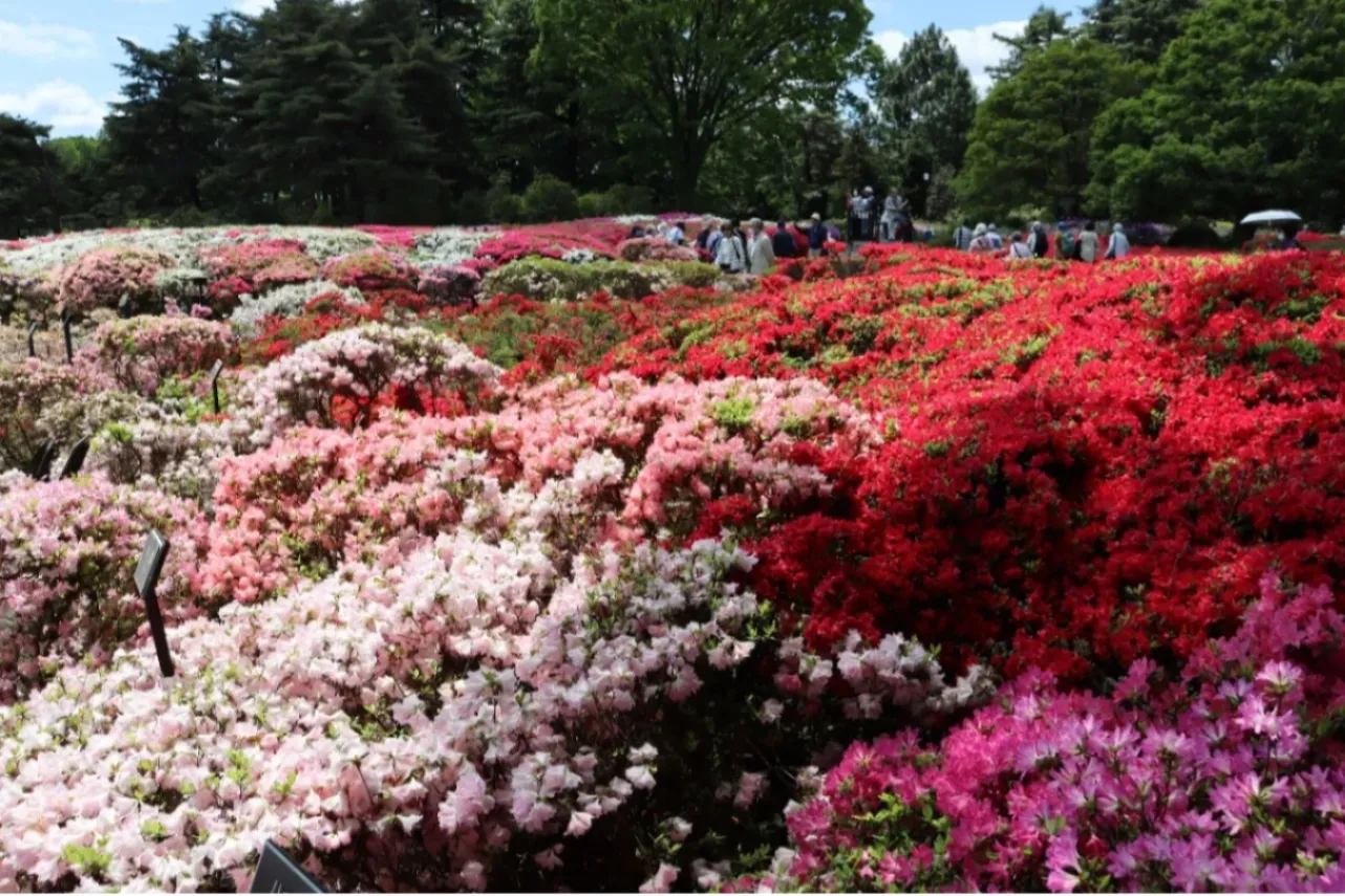 ▲写真提供：神代植物公園