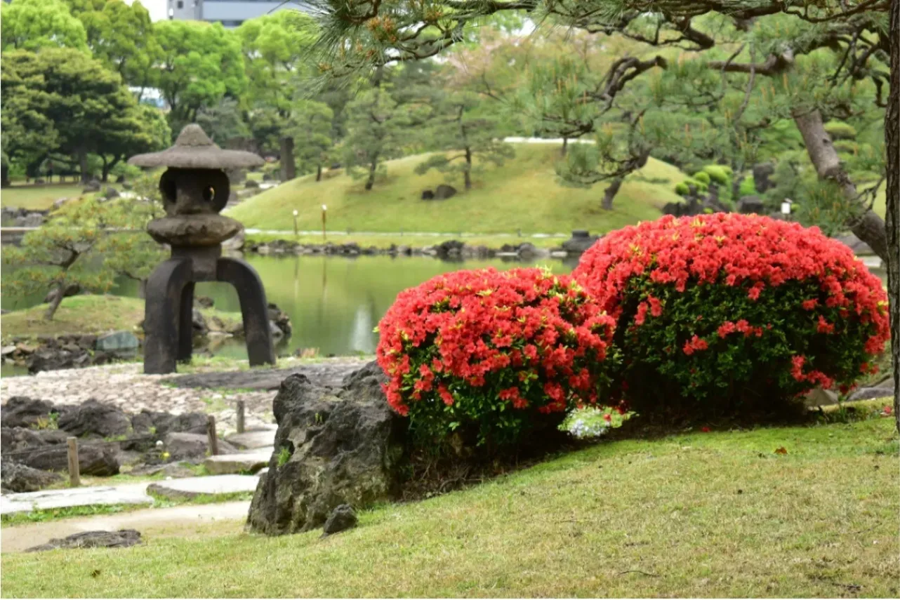 ▲画像提供：公益財団法人東京都公園協会
