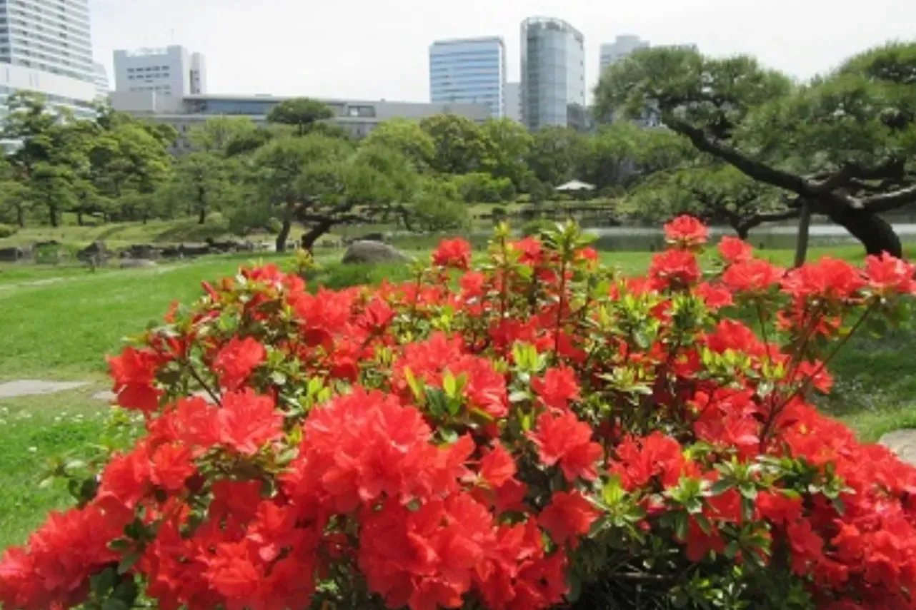 ▲画像提供：公益財団法人東京都公園協会