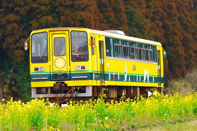 ムーミン列車「いすみ鉄道」観光スポット＆見どころ