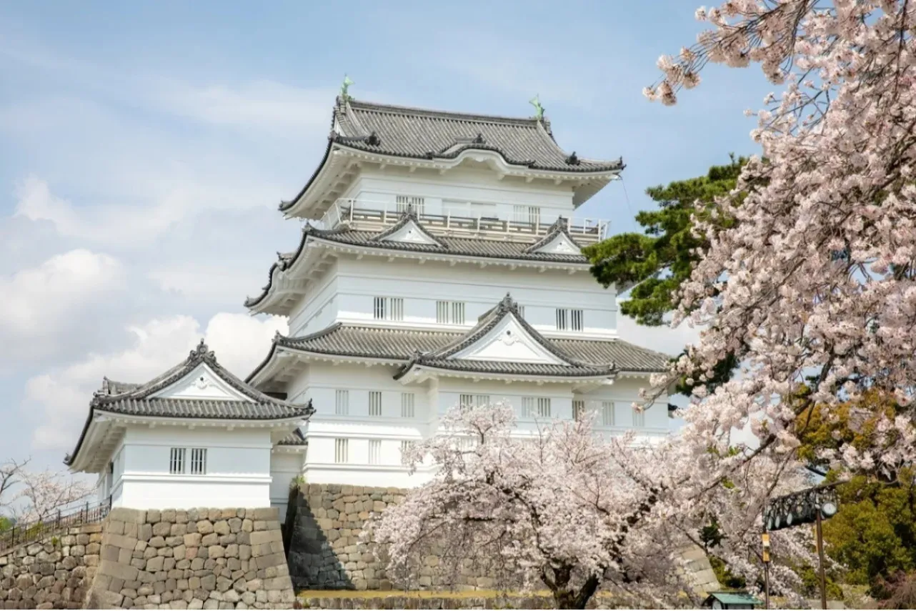 ▲天守と桜