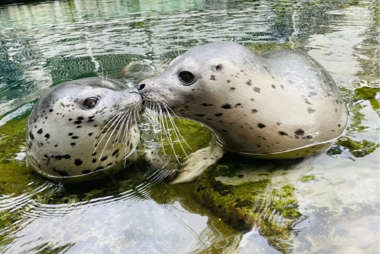 ▲箱根園水族園