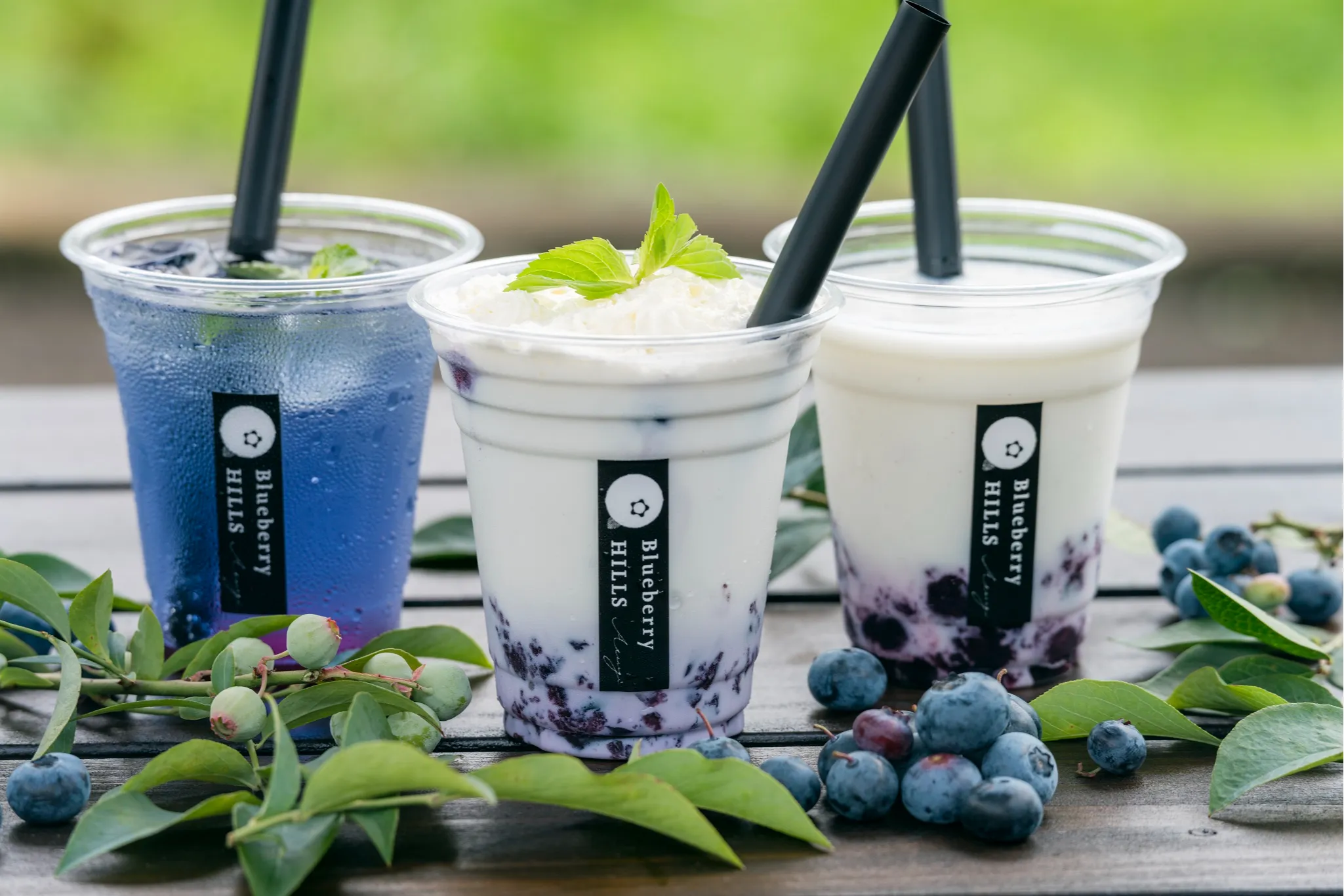 完全予約制！完熟が味わえるブルーベリー農園「Blueberry HILLS あつぎ