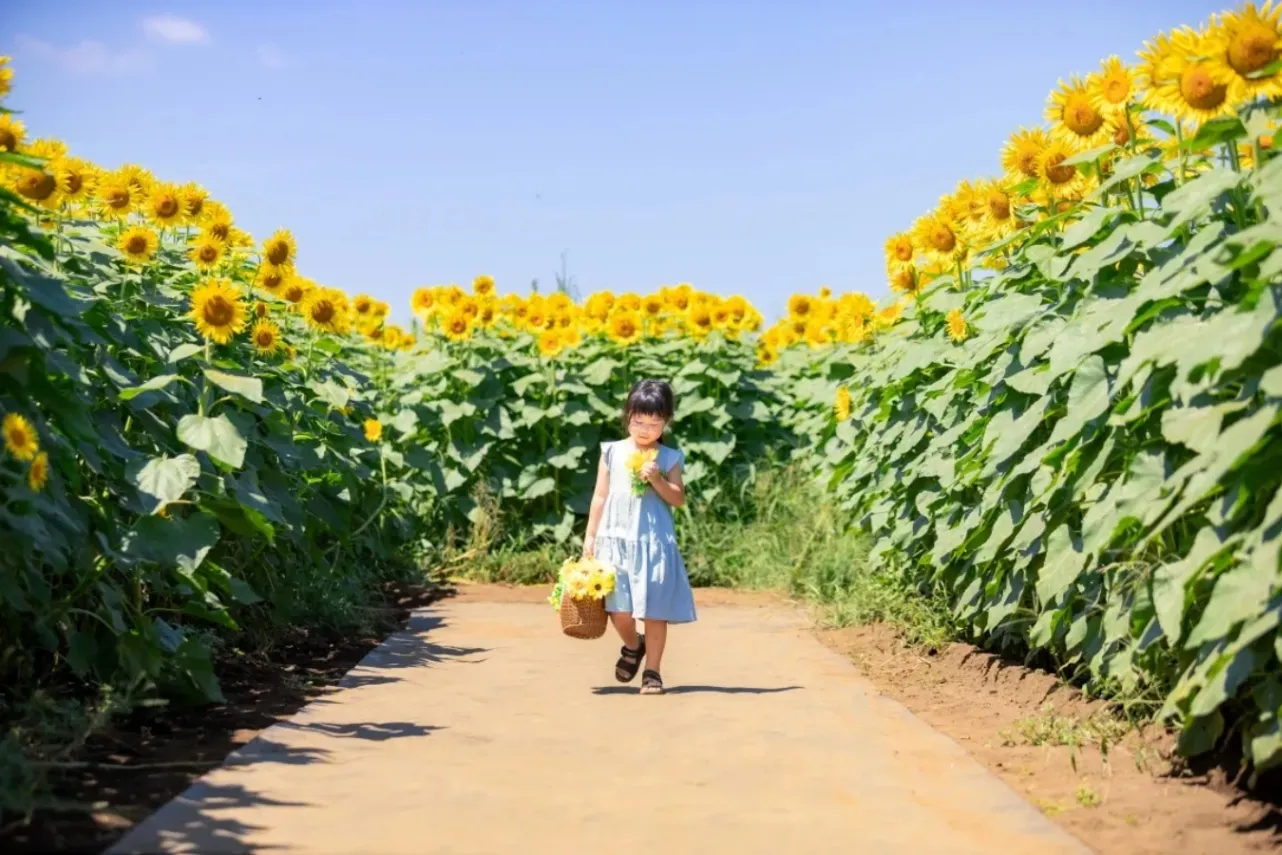 東京都内の花がきれいな場所・名所15選【春夏秋冬別】_3364468