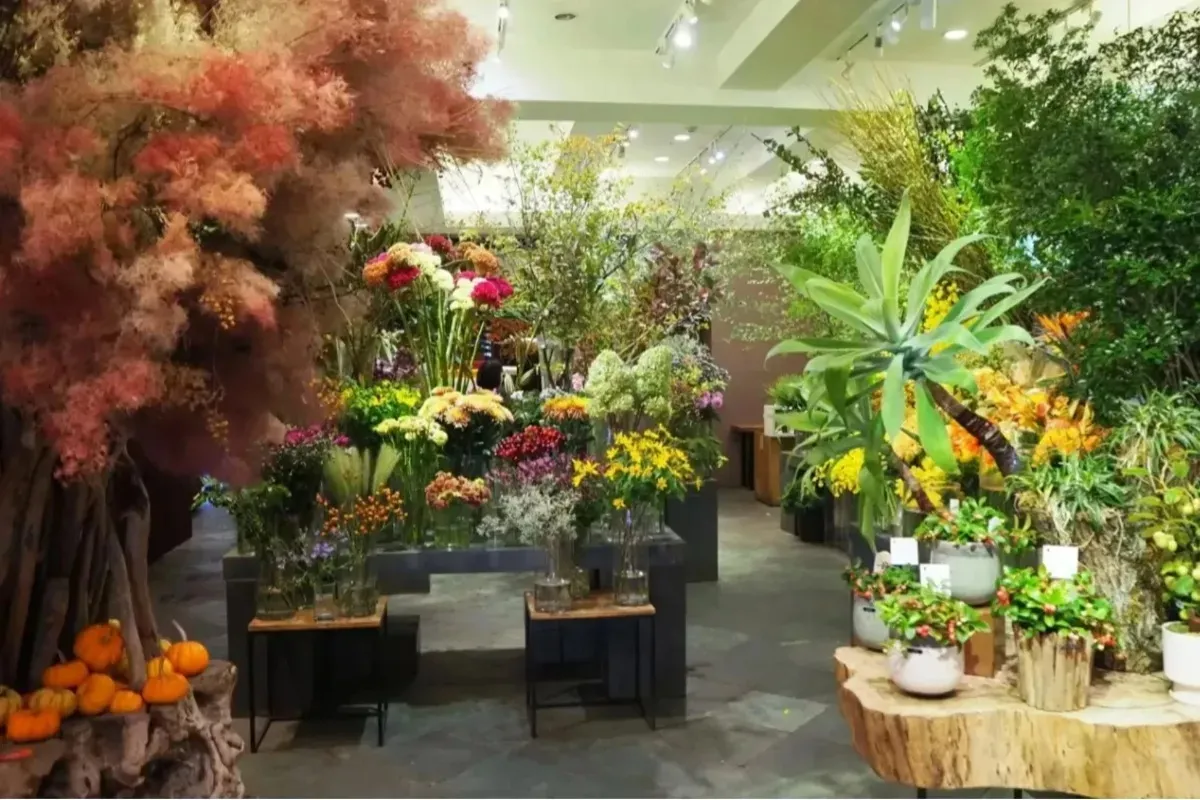 休日は外苑前で一人散歩！こだわりカフェやショップを巡る「半日コース」