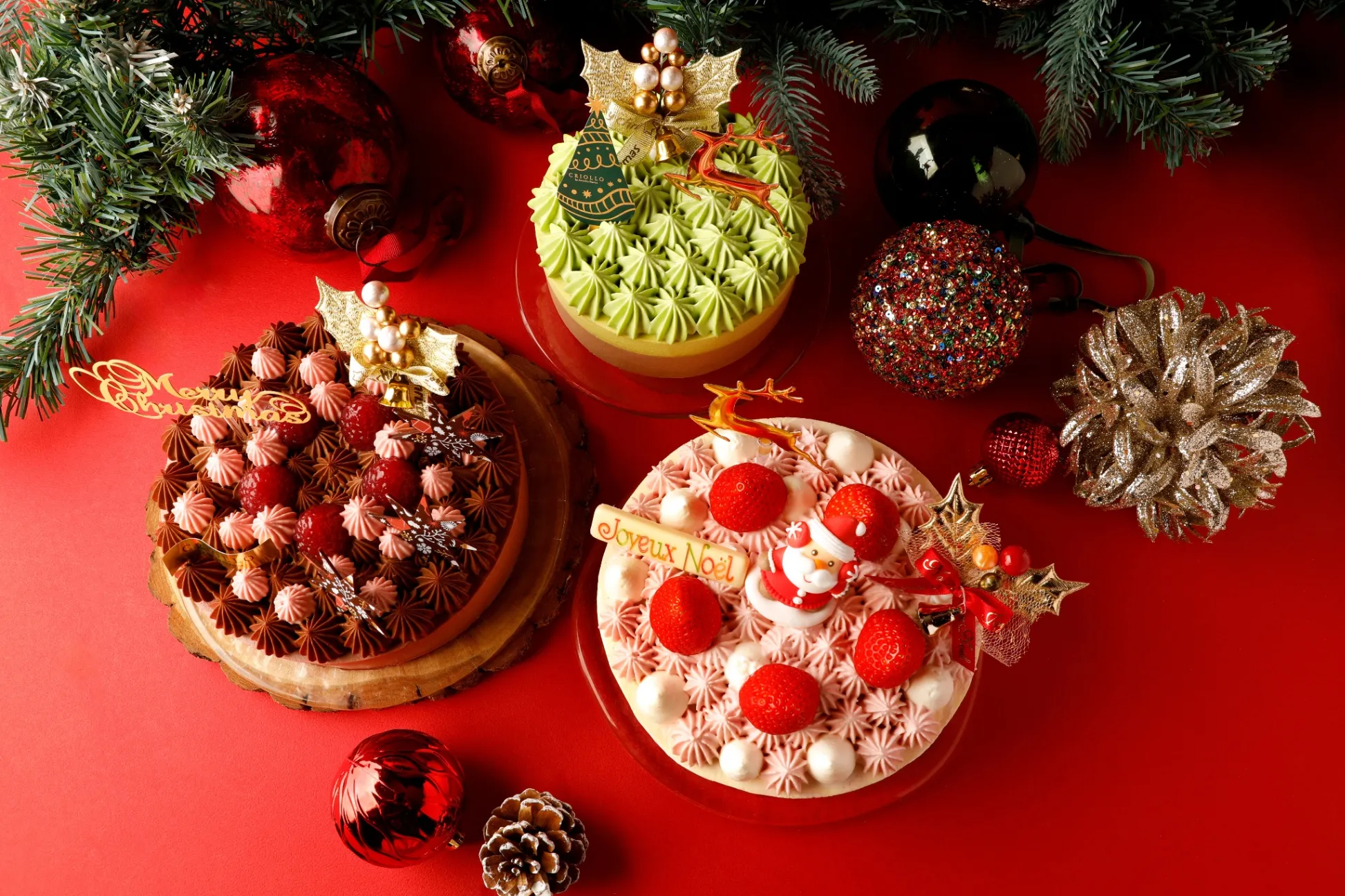 洋菓子店「クリオロ」の24年クリスマスケーキ！サンタを飾ったかわいらしいケーキも