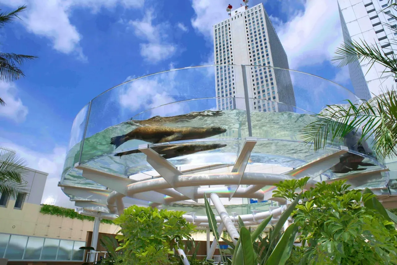 サンシャイン水族館