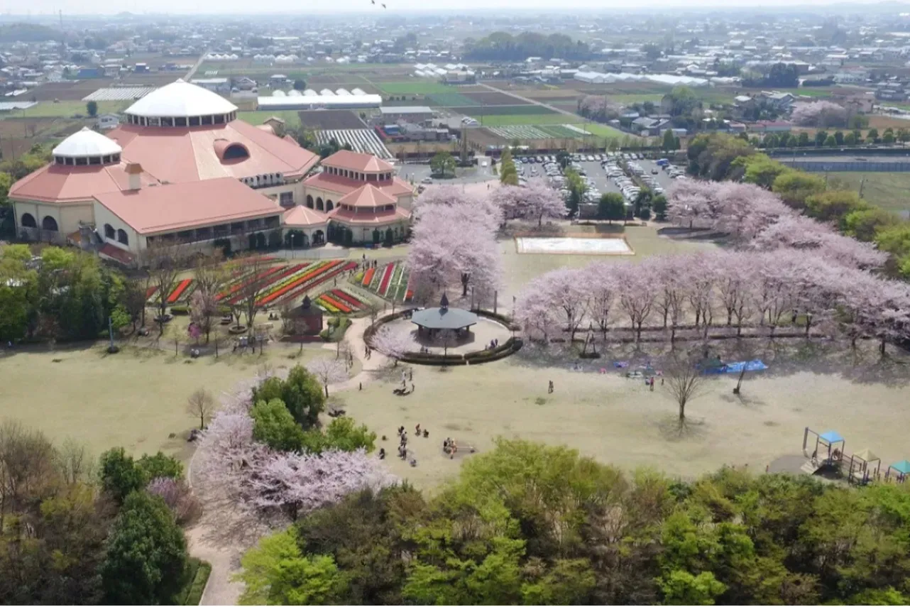 埼玉デートで行きたい！オススメのおでかけスポット25選_2796987