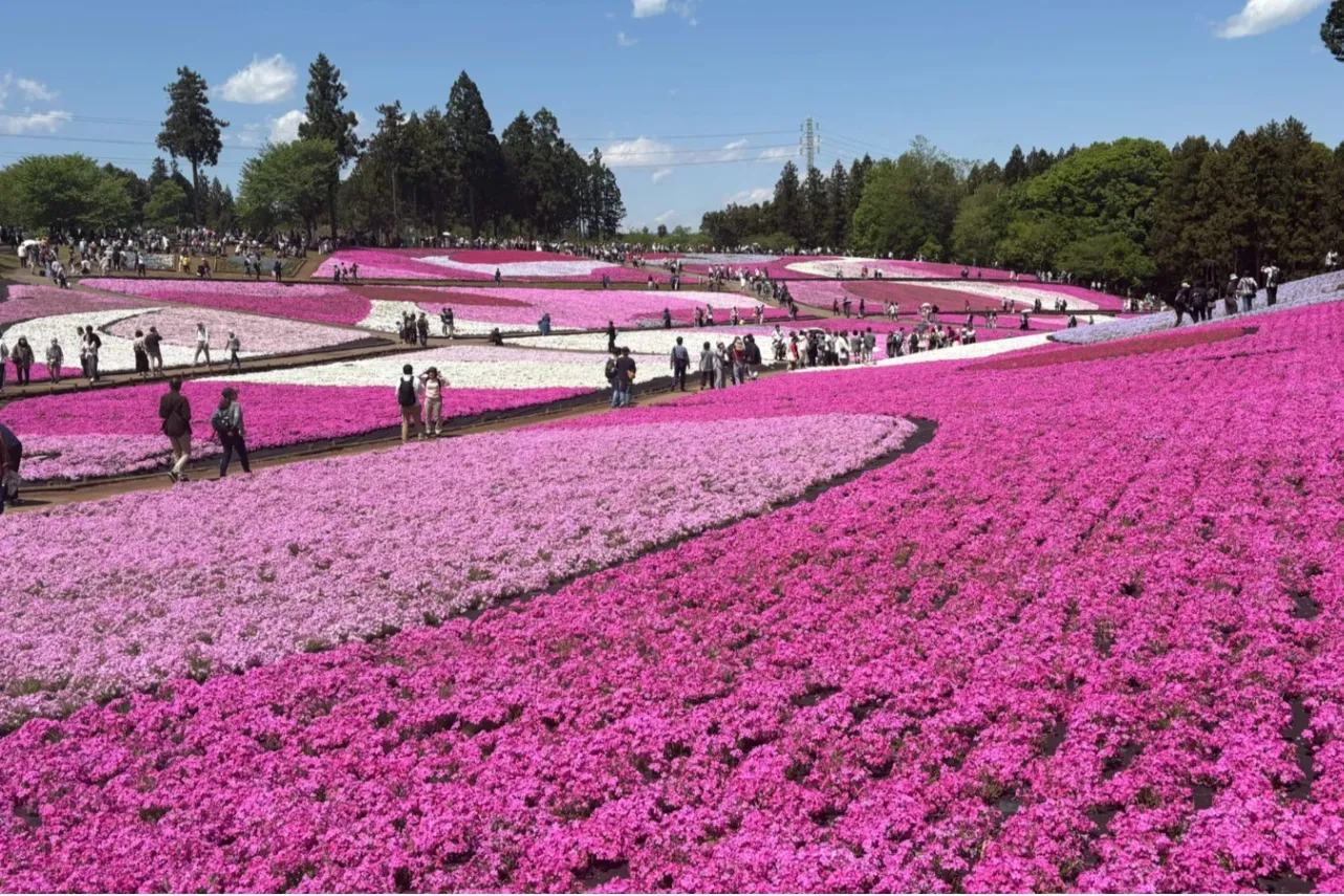 埼玉デートで行きたい！オススメのおでかけスポット25選_2797002