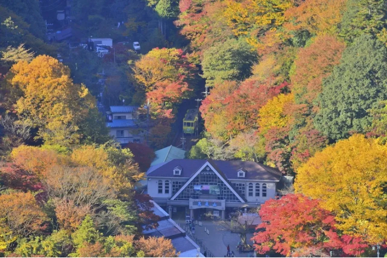 ▲紅葉シーズンの景観　(c)Hachioji City