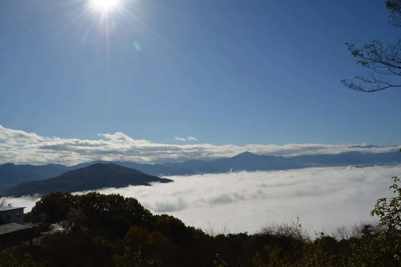 ▲宝登山山頂からの雲海（写真提供：長瀞町観光協会）