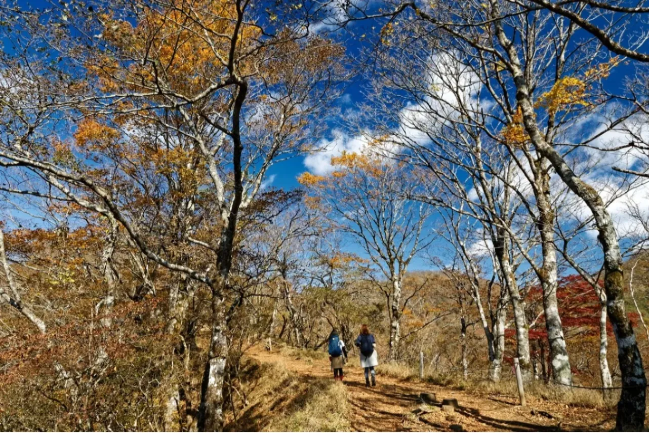 東京から日帰り登山できるスポット8選【2025】_3127746