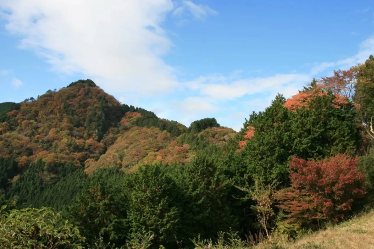 ▲紅葉シーズンの景観（写真提供：青梅市）