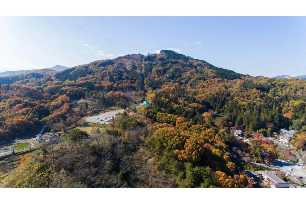 ▲紅葉シーズンの宝登山（写真提供：長瀞町観光協会）