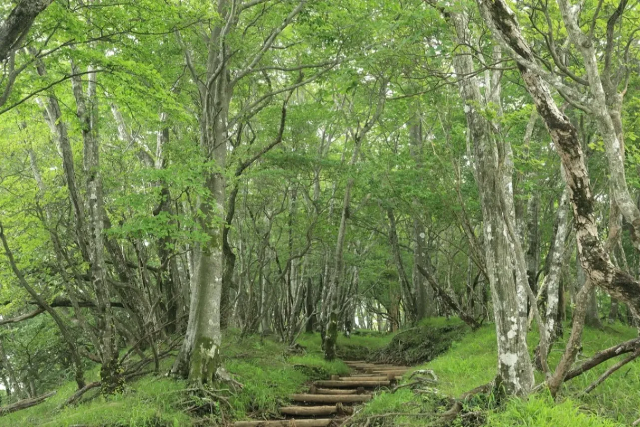 【関東】日帰り登山スポット10選！東京から日帰りで行ける｜2026_4078559