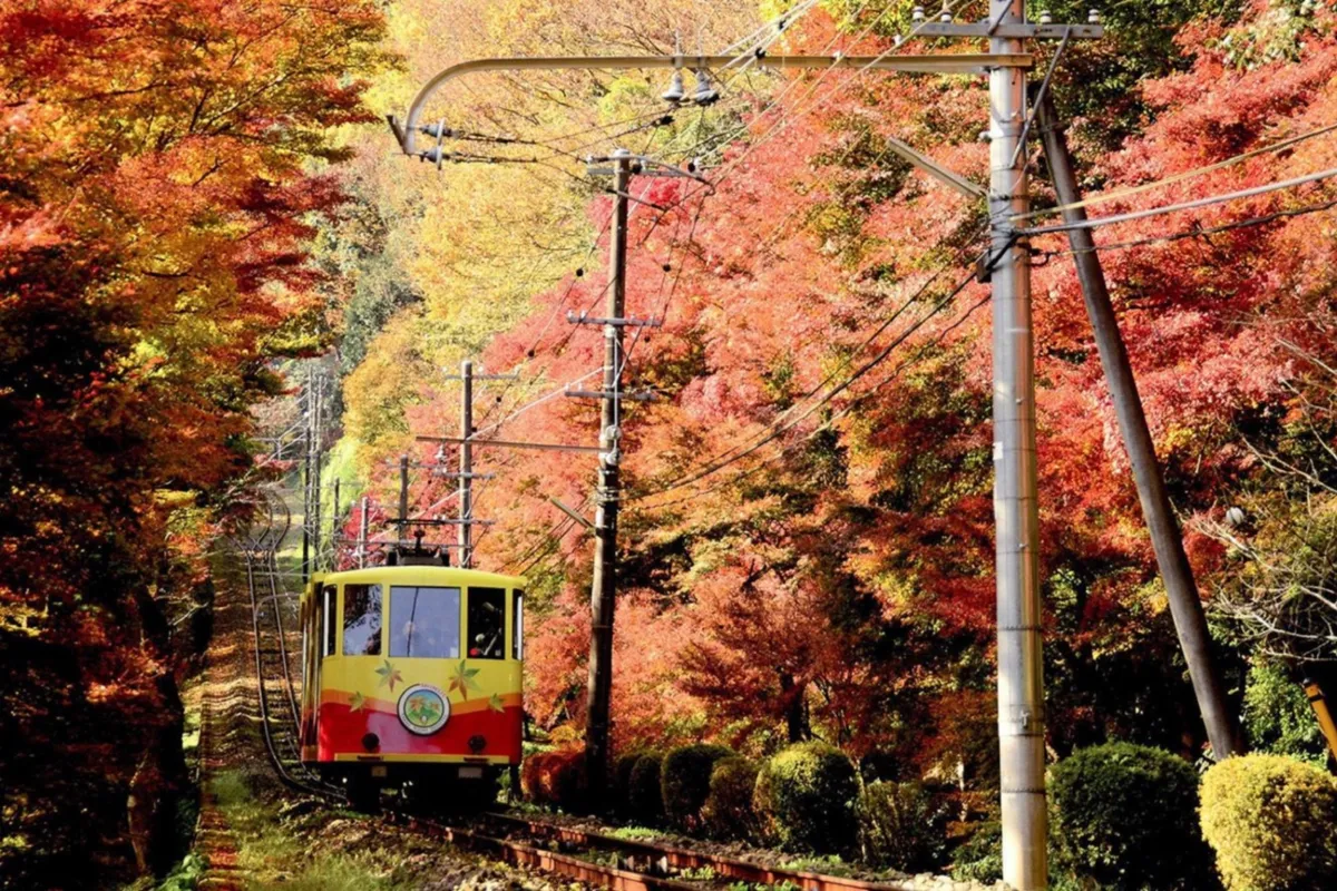 【関東】日帰り登山スポット10選！東京から日帰りで行ける｜2026