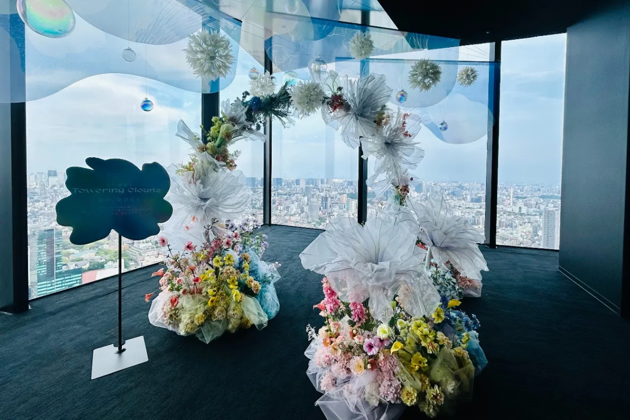 ▲「入道雲（Towering Clouds）」ゾーン