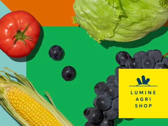 野菜のセレクトショップ「LUMINE AGRI SHOP」が新宿に誕生