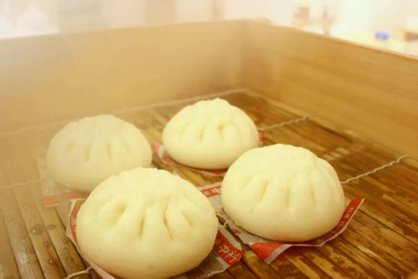 予約殺到の0円工場見学！「中村屋 中華まんミュージアム」に行ってきた_2150557