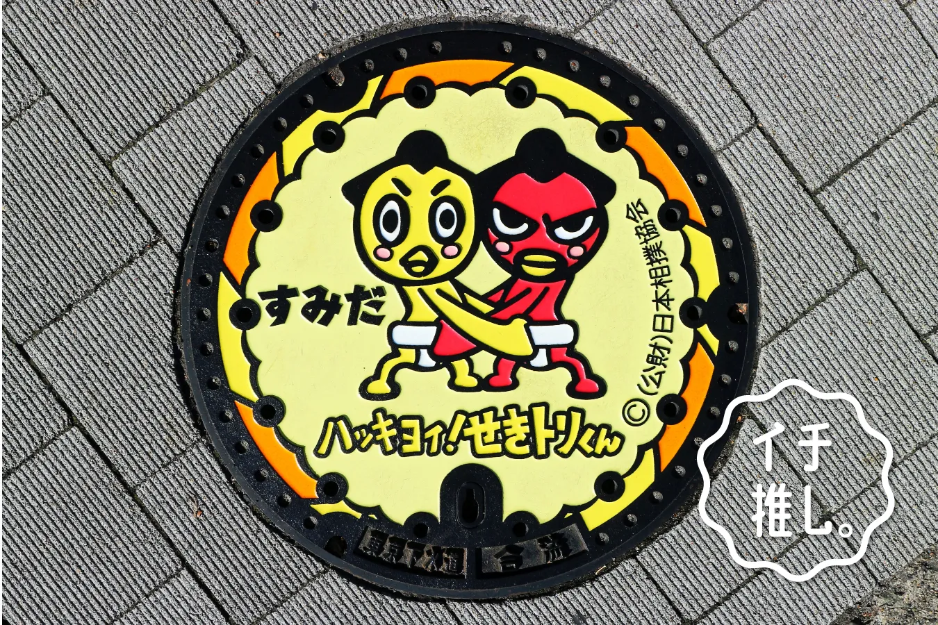 両国でマンホール巡り！マンホール巡り歴15年・白浜公平のイチ推し。
