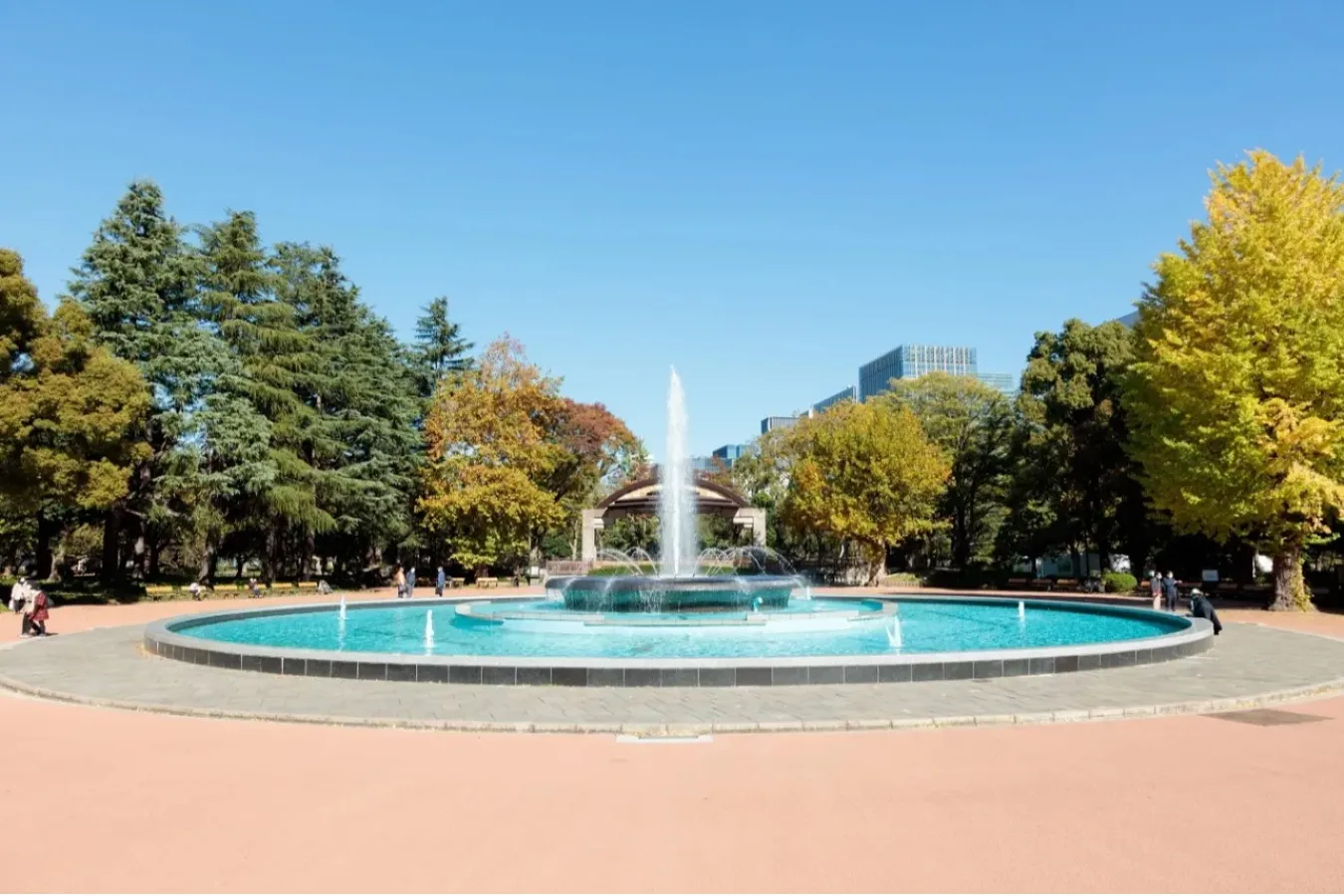 ▲写真提供：公益財団法人東京都公園協会