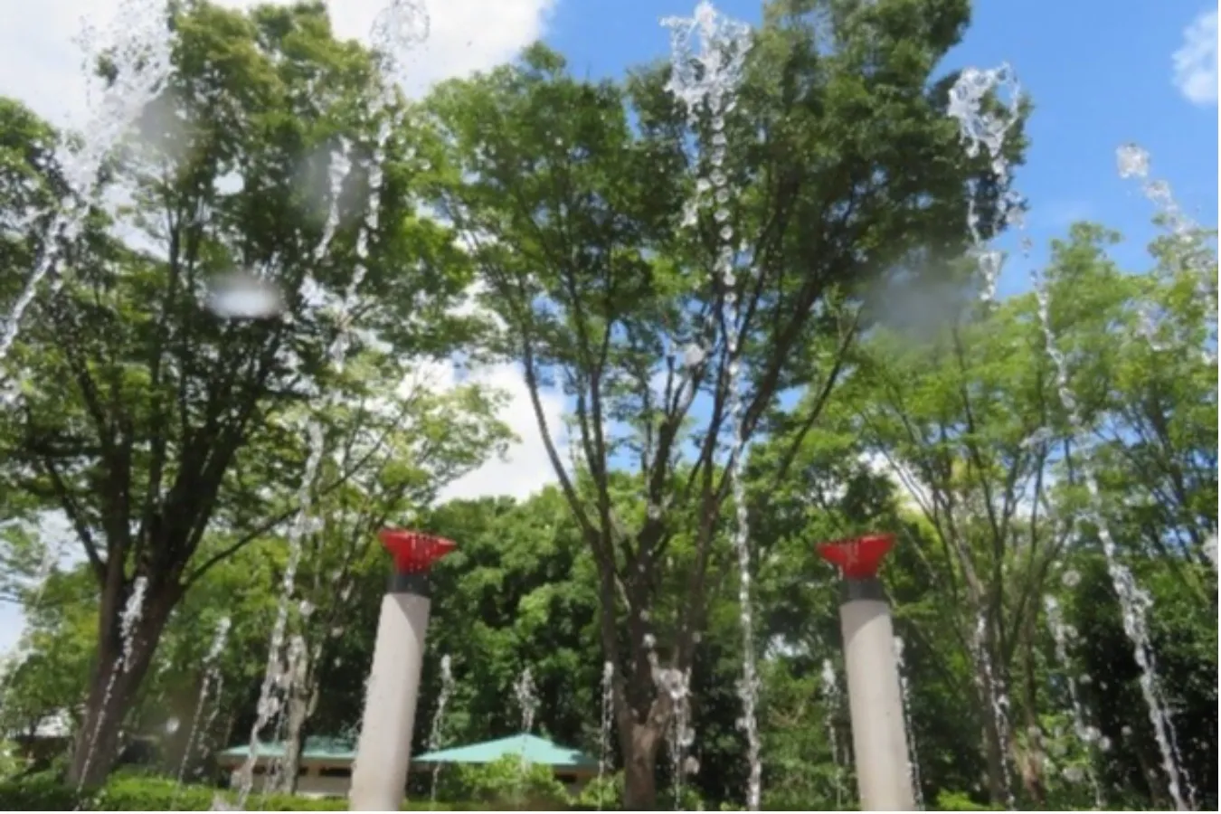 ▲千葉市動物公園