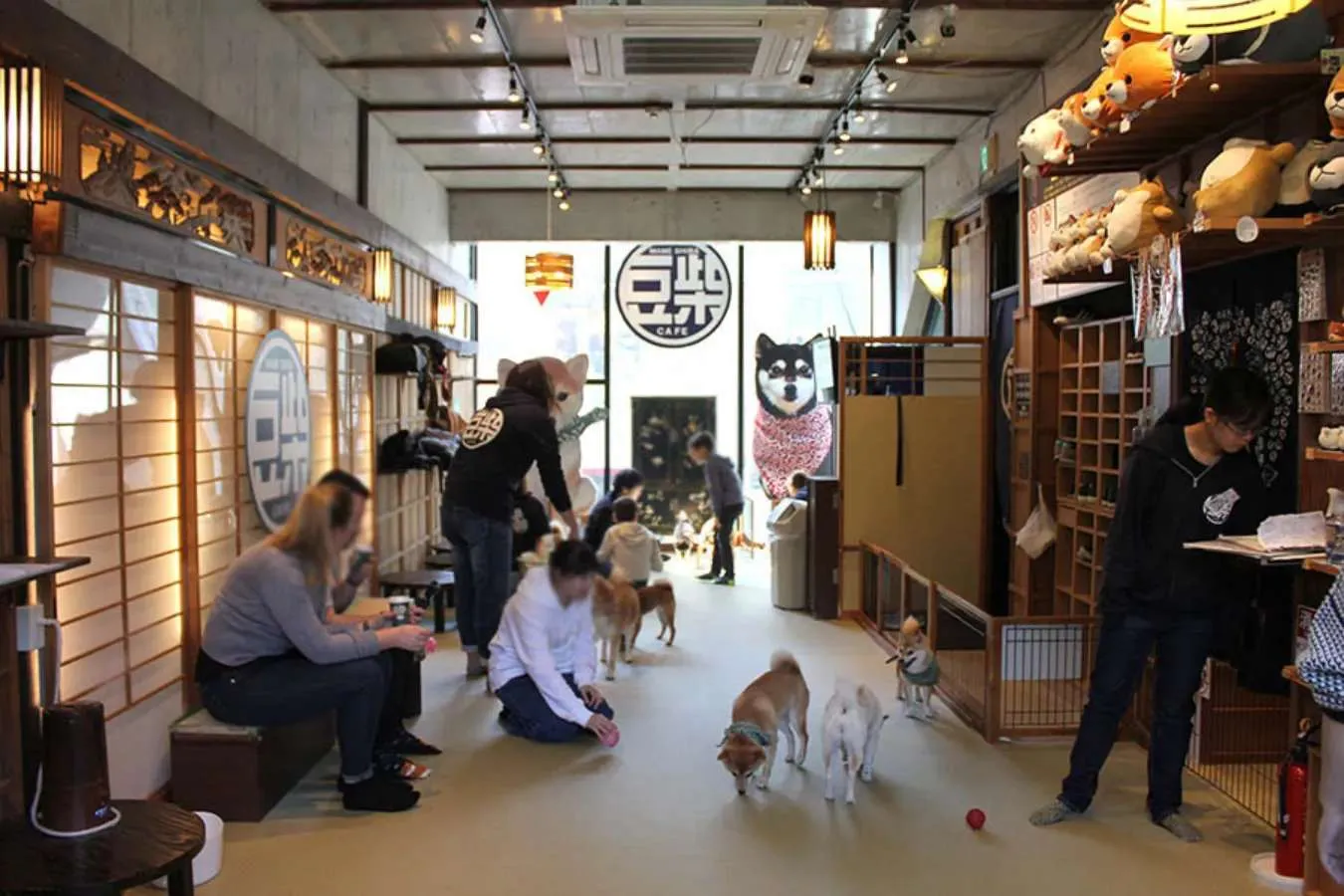 癒やし効果バツグン！東京都内の「動物カフェ」5選_2894104